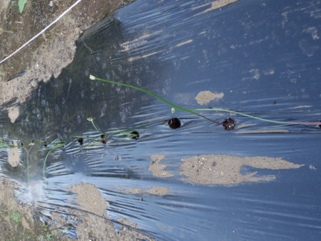 f:id:roy-t:20150920165407j:image