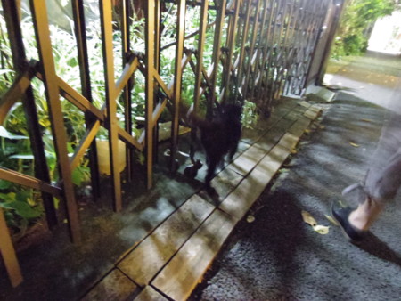 f:id:roy-t:20150920205233j:image