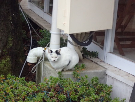 f:id:roy-t:20151223125013j:image