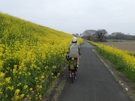 f:id:roy-t:20160402094540j:image