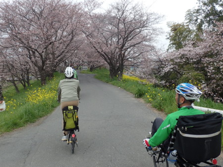 f:id:roy-t:20160402105629j:image