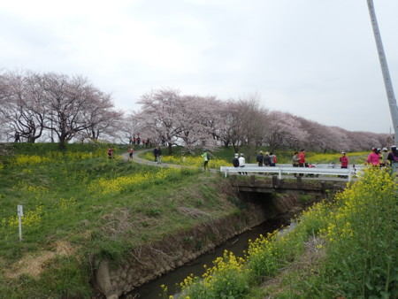 f:id:roy-t:20160402111304j:image