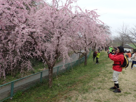 f:id:roy-t:20160402131346j:image