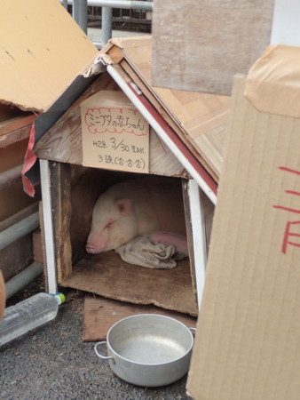 f:id:roy-t:20160402142104j:image