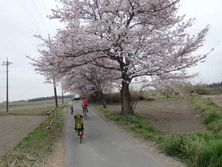 f:id:roy-t:20160402145601j:image