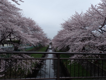 f:id:roy-t:20160402161538j:image