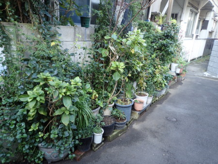 f:id:roy-t:20161126132334j:image