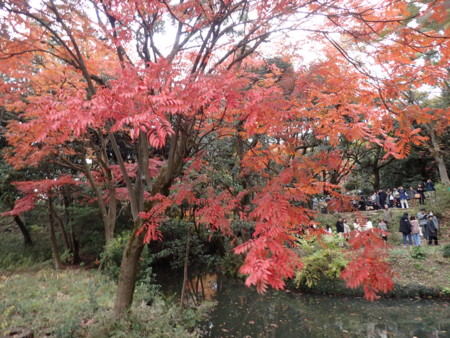 f:id:roy-t:20161126145141j:image