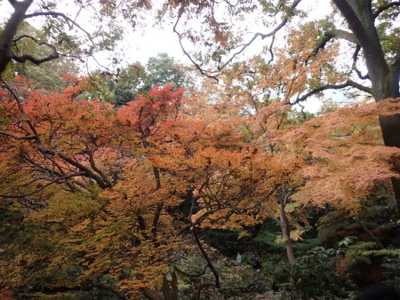 f:id:roy-t:20161126150600j:image f:id:roy-t:20161126150600j:image