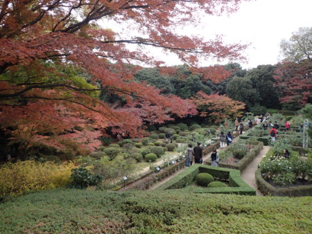 f:id:roy-t:20161126153146j:image