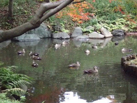 f:id:roy-t:20161126153948j:image