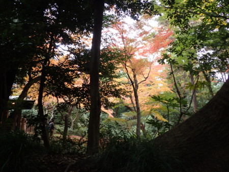 f:id:roy-t:20161126154318j:image