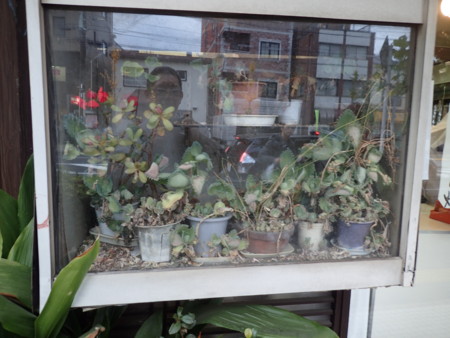 f:id:roy-t:20161126160825j:image f:id:roy-t:20161126160825j:image