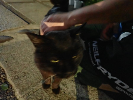 f:id:roy-t:20180630195232j:image