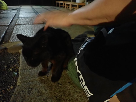 f:id:roy-t:20180630195405j:image