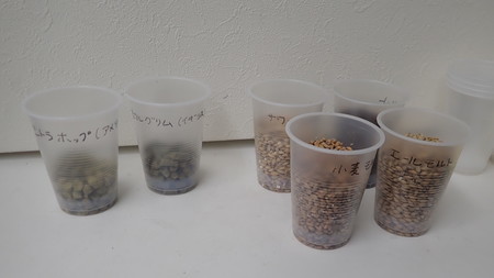 f:id:roy-t:20190420042516j:image f:id:roy-t:20190420042516j:image