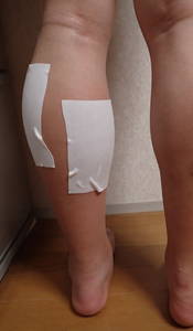 f:id:roy-t:20210912203346j:image