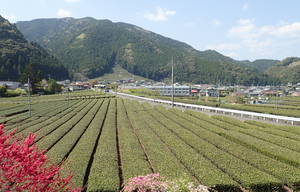 f:id:roy-t:20220410122546j:image