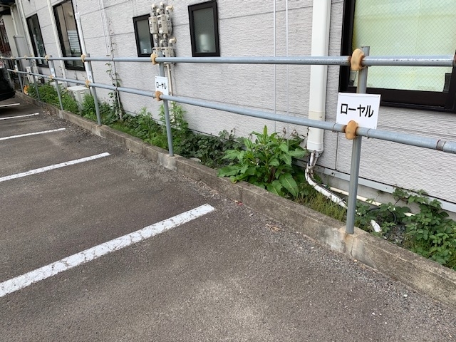 f:id:royal6080:20190531100035j:plain