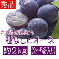 f:id:royalmt:20180806133911j:plain