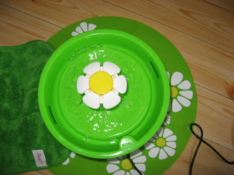 f:id:royshouse:20170706112520j:plain f:id:royshouse:20170706112520j:plain