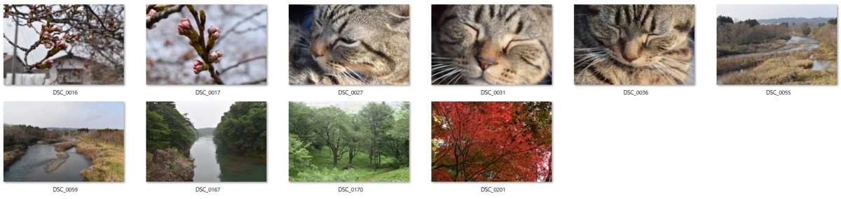 写真ACに投稿した写真10枚