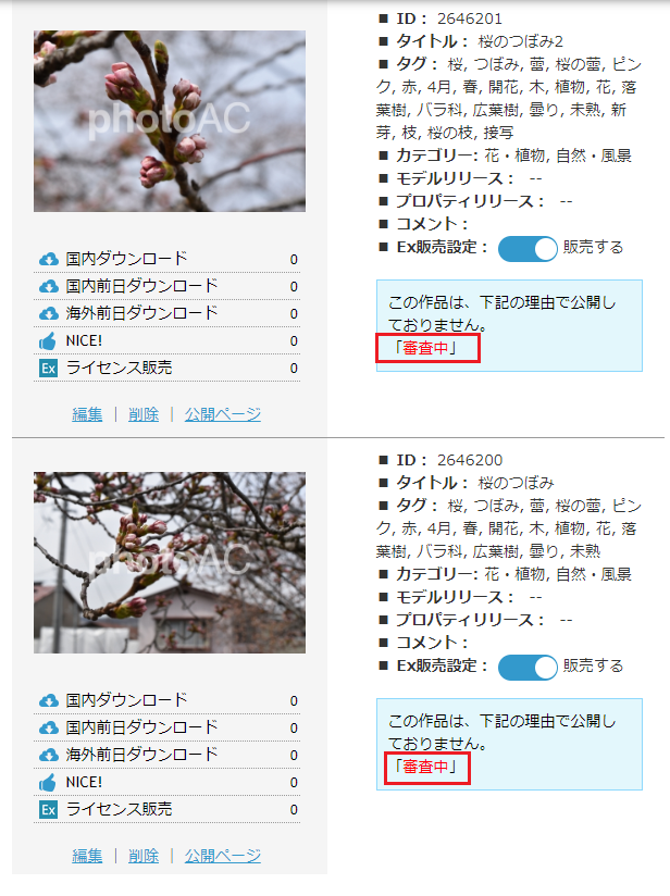 写真ACにて審査中の写真