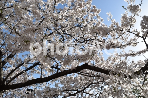 f:id:rozsa0302:20190908153907j:plain f:id:rozsa0302:20190908153907j:plain