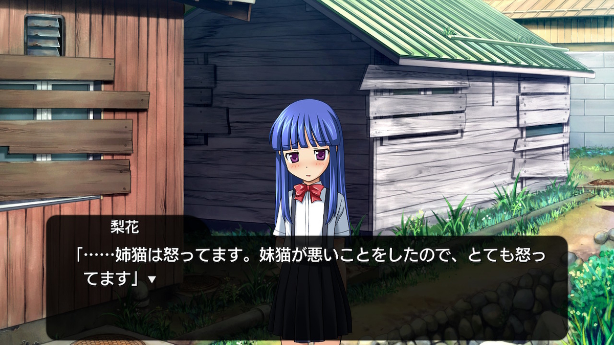 f:id:rpggameseiha:20190525192819j:plain f:id:rpggameseiha:20190525192819j:plain