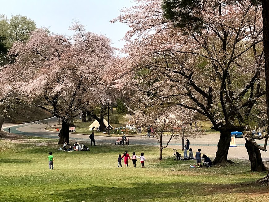 f:id:rpink:20180412025042j:plain