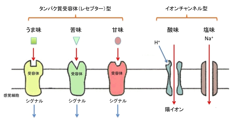 イメージ 4