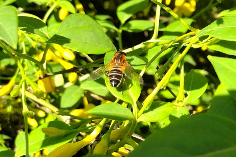 イメージ 5