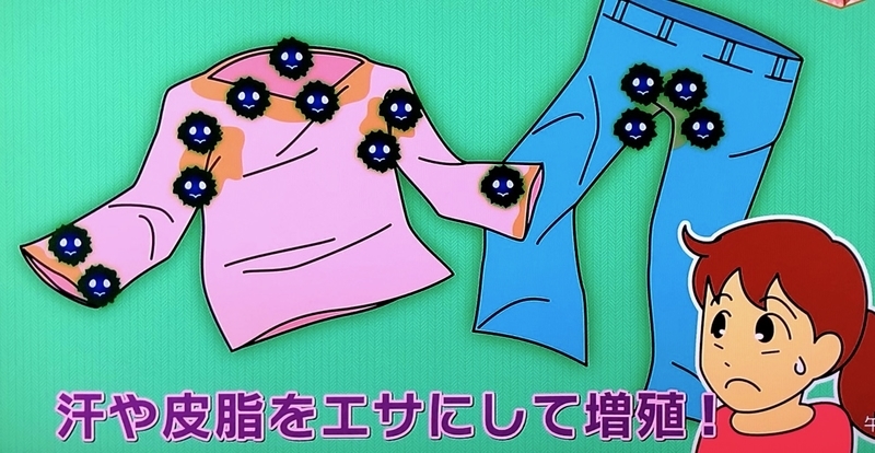 イメージ 5