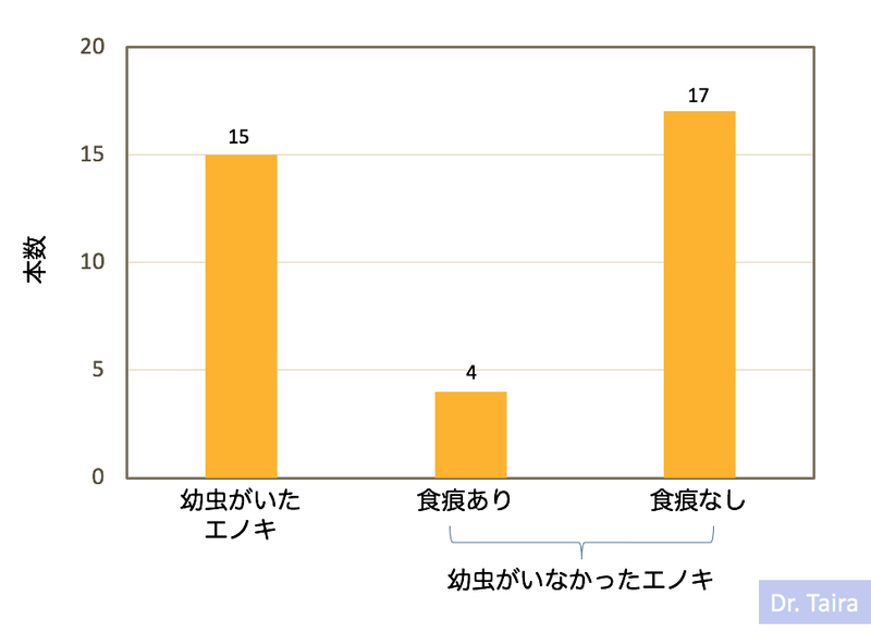 イメージ 13