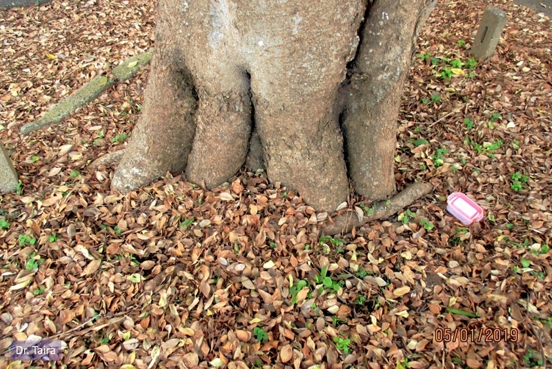 イメージ 3