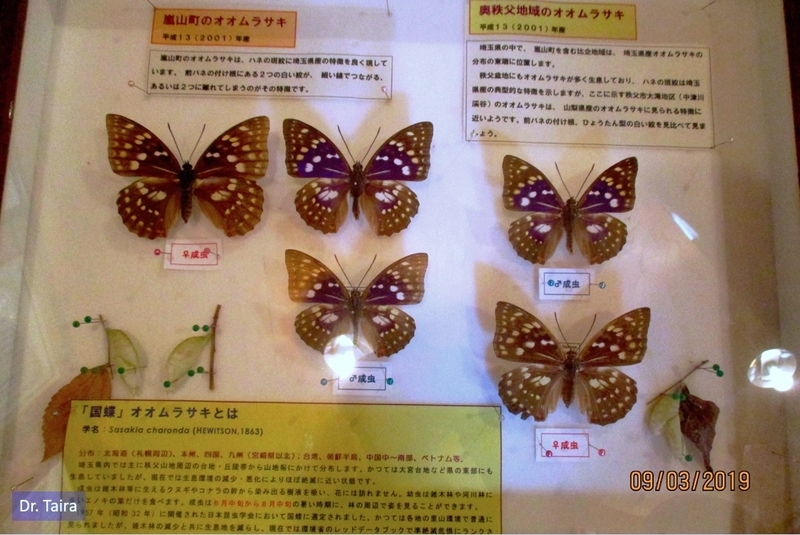 イメージ 6