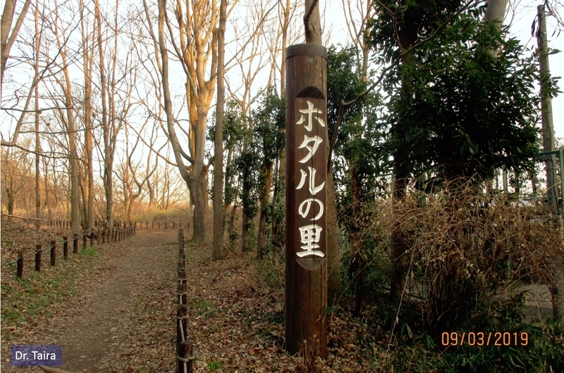 イメージ 7