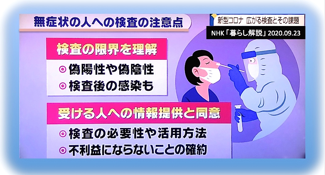 f:id:rplroseus:20200928233456j:plain