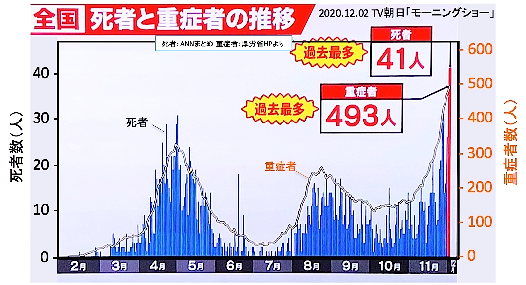f:id:rplroseus:20201202103411j:plain