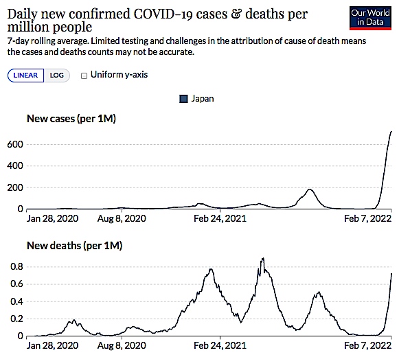 f:id:rplroseus:20220209123203j:plain