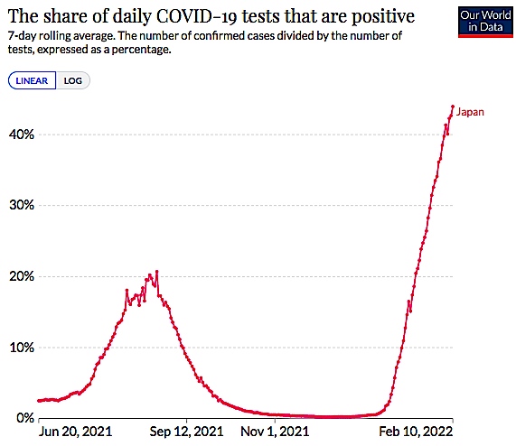 f:id:rplroseus:20220213094459j:plain