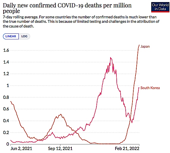 f:id:rplroseus:20220223143644j:plain