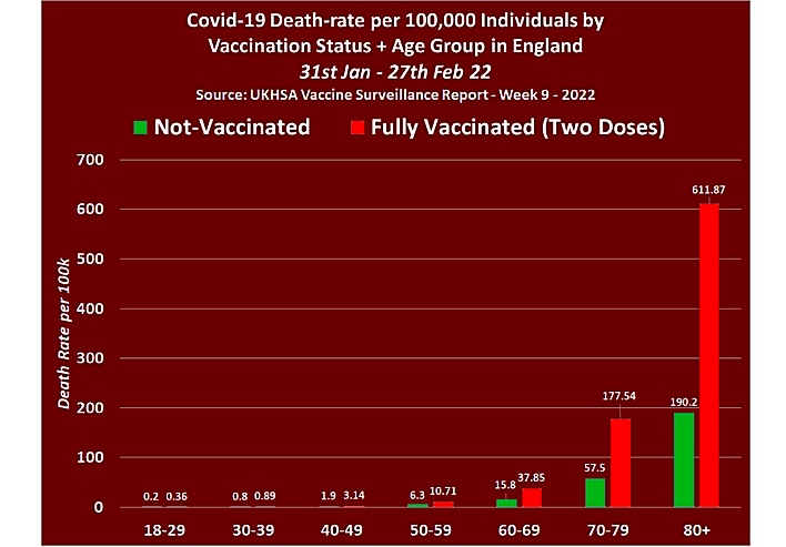 f:id:rplroseus:20220312214614j:plain