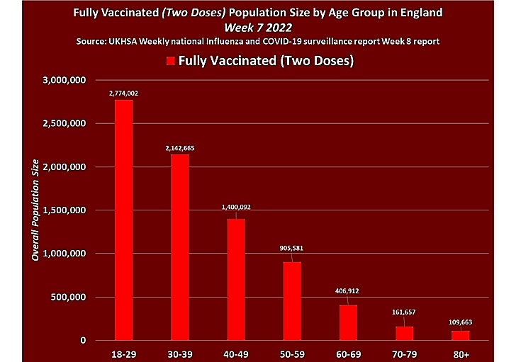 f:id:rplroseus:20220312214640j:plain