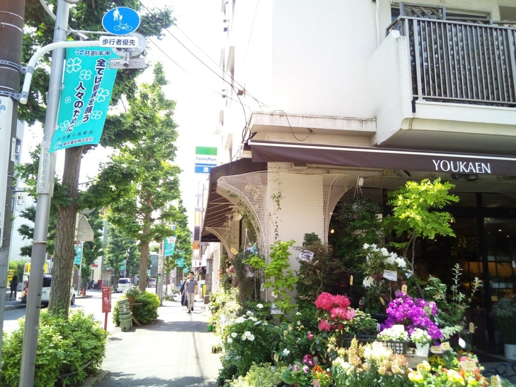 f:id:rrito39:20170625231836j:plain
