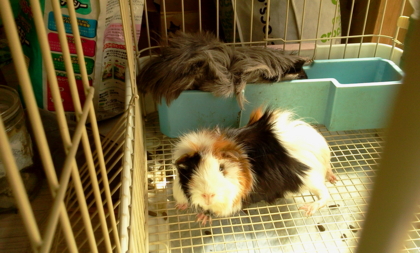 f:id:rrn:20110712181128j:image f:id:rrn:20110712181128j:image