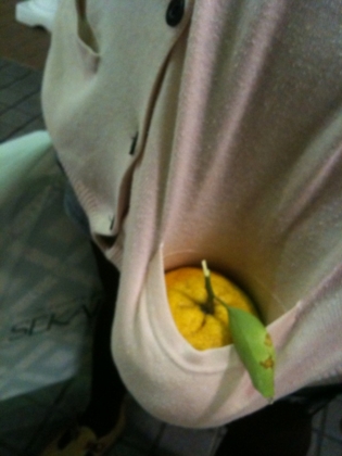 f:id:rrn:20120518204338j:image f:id:rrn:20120518204338j:image