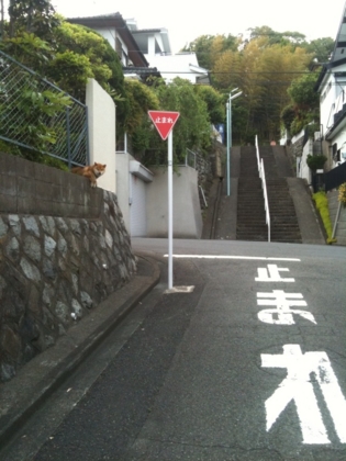 f:id:rrn:20120518204345j:image f:id:rrn:20120518204345j:image