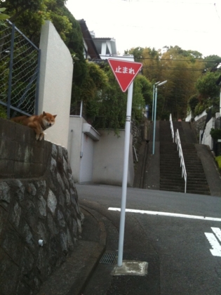 f:id:rrn:20120518204347j:image f:id:rrn:20120518204347j:image