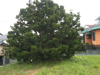 f:id:rrn:20120518204352j:image f:id:rrn:20120518204352j:image